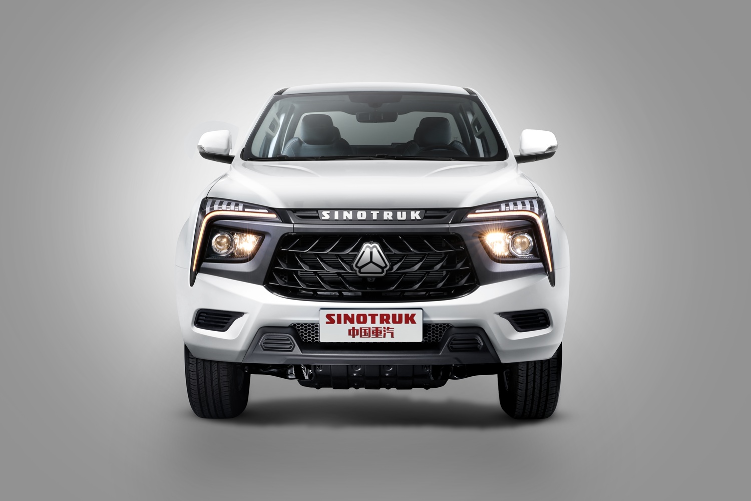 Bold Sinotruk Pickup 360°